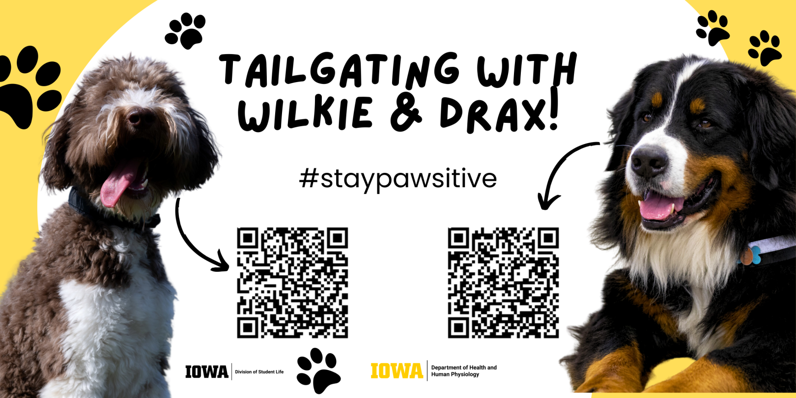 TAILgating with Wilkie & Drax